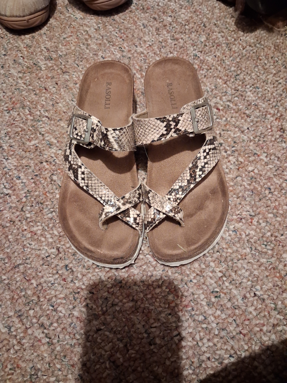 RASOLLI Snake Print Buckle Toe-Loop Sandals - Neutral Tan
